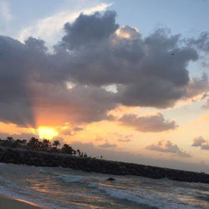 Meet your Posher, Safa